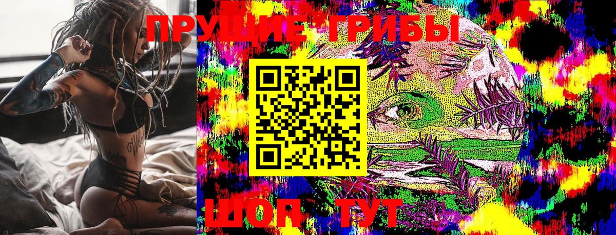 Псилоцибиновые грибы Psilocybine cubensis  Вход с VPN  Южноуральск  Псилоцибиновые грибы Psilocybe 
