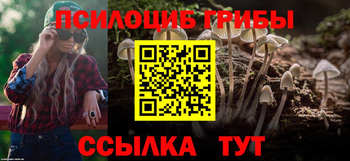 Псилоцибиновые грибы мухоморы Южноуральск